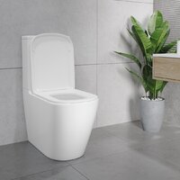 Унитаз напольный Lauter Vortex 2110012VF + гигиенический душ Tera 21GN9011CH - Превью изображения №24 — Интернет-магазин ПроЗаказ