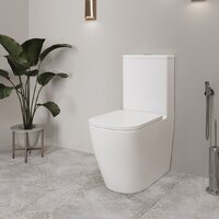 Унитаз напольный Lauter Vortex 2110012VF + гигиенический душ Tera 21GN9011CH - Превью изображения №11 — Интернет-магазин ПроЗаказ