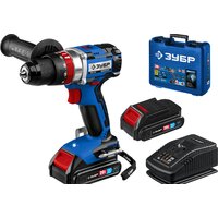 Зубр Профессионал DBS-201-22 (с 2-мя АКБ, кейс)