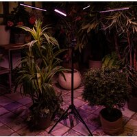 Лампа для растений Uniel ULT-P32-36W/SPLE/TM/40 IP40 BLACK QUAD UL-00008905 - Превью изображения №8 — Интернет-магазин ПроЗаказ