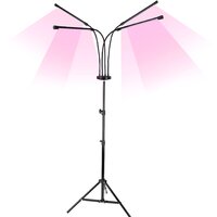 Светильники, люстры, бра, споты