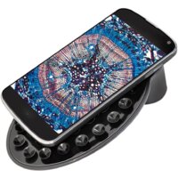 Детский микроскоп Bresser Junior Biolux SEL 40–1600x 74319 (зеленый) - Превью изображения №9 — Интернет-магазин ПроЗаказ