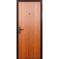 Металлическая дверь Промет Спец Про 206x96 (левый) - Превью изображения №2 — Интернет-магазин ПроЗаказ