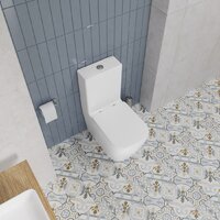 Унитаз напольный Lauter Vortex 2110012VF + гигиенический душ Rainix 21LT7714GL - Превью изображения №15 — Интернет-магазин ПроЗаказ