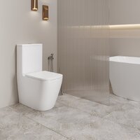 Унитаз напольный Lauter Vortex 2110012VF + гигиенический душ Rainix 21LT7714GL - Превью изображения №9 — Интернет-магазин ПроЗаказ