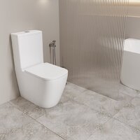 Унитаз напольный Lauter Vortex 2110012VF + гигиенический душ Rainix 21LT7714GL - Превью изображения №10 — Интернет-магазин ПроЗаказ