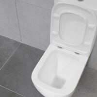 Унитаз напольный Lauter Vortex 2110012VF + гигиенический душ Rainix 21LT7714GL - Превью изображения №23 — Интернет-магазин ПроЗаказ