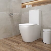 Унитаз напольный Lauter Vortex 2110012VF + гигиенический душ Rainix 21LT7714GL - Превью изображения №17 — Интернет-магазин ПроЗаказ