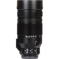 Объектив Panasonic Leica DG Vario-Elmar 100-400 mm F4.0-6.3 ASPH POWER O.I.S. - Превью изображения №11 — Интернет-магазин ПроЗаказ