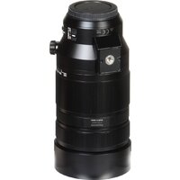Объектив Panasonic Leica DG Vario-Elmar 100-400 mm F4.0-6.3 ASPH POWER O.I.S. - Превью изображения №18 — Интернет-магазин ПроЗаказ