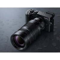 Объектив Panasonic Leica DG Vario-Elmar 100-400 mm F4.0-6.3 ASPH POWER O.I.S. - Превью изображения №20 — Интернет-магазин ПроЗаказ