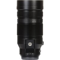 Объектив Panasonic Leica DG Vario-Elmar 100-400 mm F4.0-6.3 ASPH POWER O.I.S. - Превью изображения №10 — Интернет-магазин ПроЗаказ