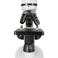 Микроскоп Levenhuk Discovery Nano Polar с книгой 77965 - Превью изображения №11 — Интернет-магазин ПроЗаказ