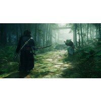  Rise Of The Ronin для PlayStation 5 - Превью изображения №2 — Интернет-магазин ПроЗаказ