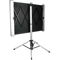 Проекционный экран CACTUS TriAlExpert 102x180 CS-PSTALE-180X102 - Превью изображения №2 — Интернет-магазин ПроЗаказ