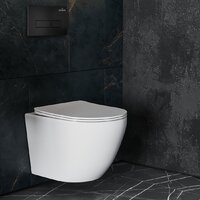 Унитаз подвесной Roxen Antares One Rimless 6 в 1 StounFix Dual Fresh 577729 (кнопка: черный матовый) - Превью изображения №11 — Интернет-магазин ПроЗаказ