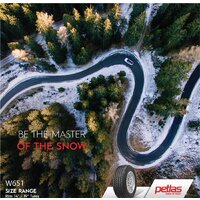 Зимние шины Petlas SnowMaster W651 235/40R18 95V - Превью изображения №6 — Интернет-магазин ПроЗаказ