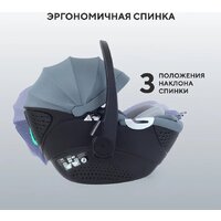 Детское автокресло Rant Aster Zero AY378 (графитовый) - Превью изображения №16 — Интернет-магазин ПроЗаказ