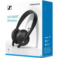 Наушники Sennheiser HD 250BT - Превью изображения №5 — Интернет-магазин ПроЗаказ
