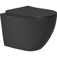 Унитаз подвесной Lauter Augsburg с жестким сиденьем Soft Close 21109EC (черный матовый, скрытое крепление) - Превью изображения №8 — Интернет-магазин ПроЗаказ