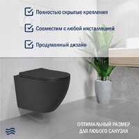 Унитаз подвесной Lauter Augsburg с жестким сиденьем Soft Close 21109EC (черный матовый, скрытое крепление) - Превью изображения №2 — Интернет-магазин ПроЗаказ