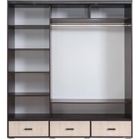 Шкаф-купе Рэйгрупп 199 VHG Elza EL-01.02 (венге/шамони) - Превью изображения №2 — Интернет-магазин ПроЗаказ