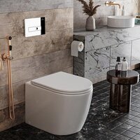 Унитаз подвесной Roxen Antares One Rimless 6 в 1 StounFix Dual Fresh 583589 (кнопка: хром) - Превью изображения №12 — Интернет-магазин ПроЗаказ