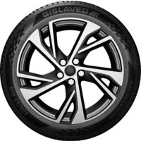 Летние шины Gislaved ActiveControl 205/55R16 91W - Превью изображения №2 — Интернет-магазин ПроЗаказ