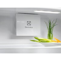 Однокамерный холодильник Electrolux Seria 600 KRD6DE18S1 - Превью изображения №7 — Интернет-магазин ПроЗаказ