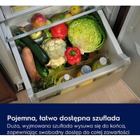 Однокамерный холодильник Electrolux Seria 600 KRD6DE18S1 - Превью изображения №5 — Интернет-магазин ПроЗаказ
