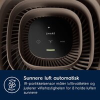 Очиститель воздуха Electrolux EPO50351BG - Превью изображения №10 — Интернет-магазин ПроЗаказ
