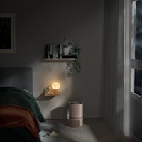 Очиститель воздуха Electrolux EPO50351BG - Превью изображения №8 — Интернет-магазин ПроЗаказ