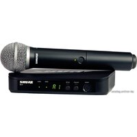 Shure BLX24E/PG58-M17