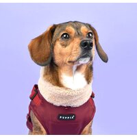 Куртка для животных Puppia Donavan PAUD-VT1853-WN-S (красный) - Превью изображения №4 — Интернет-магазин ПроЗаказ