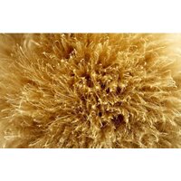 Stamprint Золотая середина AR034 (80x120)