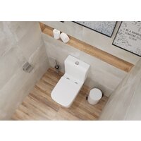 Унитаз напольный Lauter W09 P-TRAP 21900001 + гигиенический душ Jet 21TZ232BM (горизонтальный выпуск) - Превью изображения №10 — Интернет-магазин ПроЗаказ