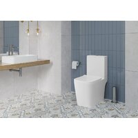 Унитаз напольный Lauter W09 P-TRAP 21900001 + гигиенический душ Jet 21TZ232BM (горизонтальный выпуск) - Превью изображения №12 — Интернет-магазин ПроЗаказ