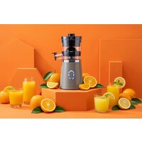 Соковыжималка Goetze & Jensen CJ400T - Превью изображения №6 — Интернет-магазин ПроЗаказ