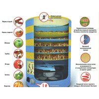 Сушилка для овощей и фруктов Элвин СУ-1 - Превью изображения №2 — Интернет-магазин ПроЗаказ