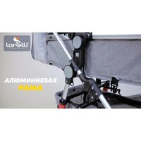 Универсальная коляска Lorelli Lora 2021 (2 в 1, luxe red elephants) - Превью изображения №38 — Интернет-магазин ПроЗаказ