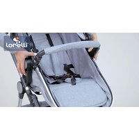 Универсальная коляска Lorelli Lora 2021 (2 в 1, luxe red elephants) - Превью изображения №34 — Интернет-магазин ПроЗаказ