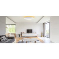 Светильник-тарелка Yeelight Arwen Ceiling Light 450C YLXD013-B - Превью изображения №2 — Интернет-магазин ПроЗаказ