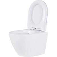 Унитаз подвесной Roxen Antares One Rimless 6 в 1 StounFix Dual Fresh 613423 (оружейная сталь/металл) - Превью изображения №7 — Интернет-магазин ПроЗаказ