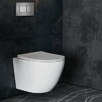 Унитаз подвесной Roxen Antares One Rimless 6 в 1 StounFix Dual Fresh 613423 (оружейная сталь/металл) - Превью изображения №13 — Интернет-магазин ПроЗаказ