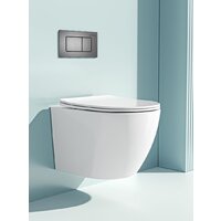 Унитаз подвесной Roxen Antares One Rimless 6 в 1 StounFix Dual Fresh 613423 (оружейная сталь/металл) - Превью изображения №11 — Интернет-магазин ПроЗаказ