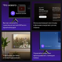 Телевизор Яндекс ТВ Станция Бейсик с Алисой 50 YNDX-00075 - Превью изображения №10 — Интернет-магазин ПроЗаказ