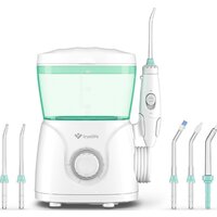 TrueLife Aquafloss Station S600
