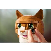 Конструктор LEGO Ideas 21376 Рыжий кот - Превью изображения №12 — Интернет-магазин ПроЗаказ