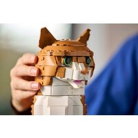 Конструктор LEGO Ideas 21376 Рыжий кот - Превью изображения №11 — Интернет-магазин ПроЗаказ