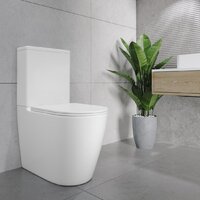 Унитаз напольный Lauter Vortex 2110022VF + гигиенический душ Sano 21LT1294GL - Превью изображения №26 — Интернет-магазин ПроЗаказ